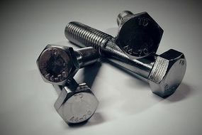 Stainless Steel Bolt