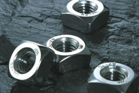 Stainless Steel Nuts