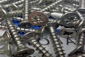 Stainless Steel Screws